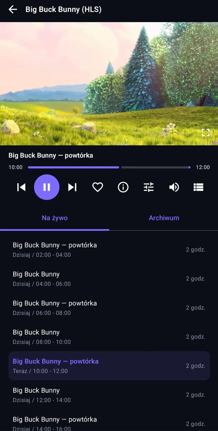 Odtwarzacz z przewodnikiem programowym