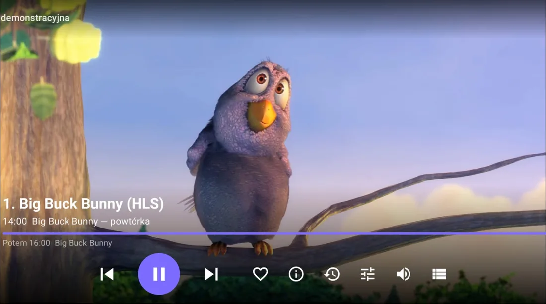 IPappTV on a tablet — playback with the programme preview